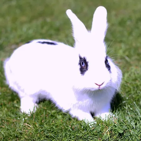 Arima Pensión Sushina