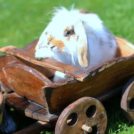 Pensión Arima Sushina